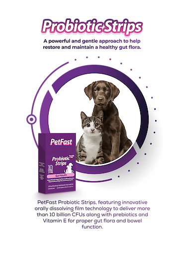 PetFast Probiotic Strips Gut Health