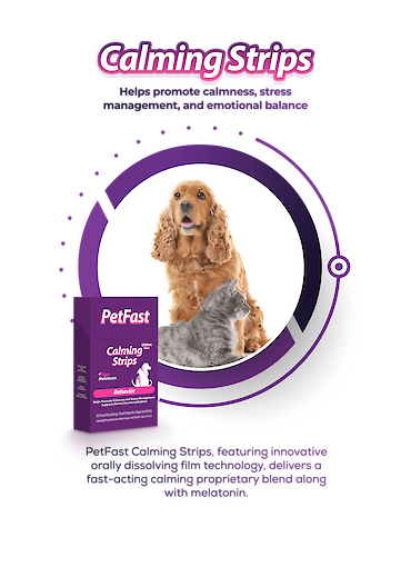PetFast Calming Strips Behavior