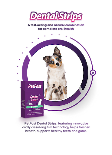PetFast Dental Strips Oral Health