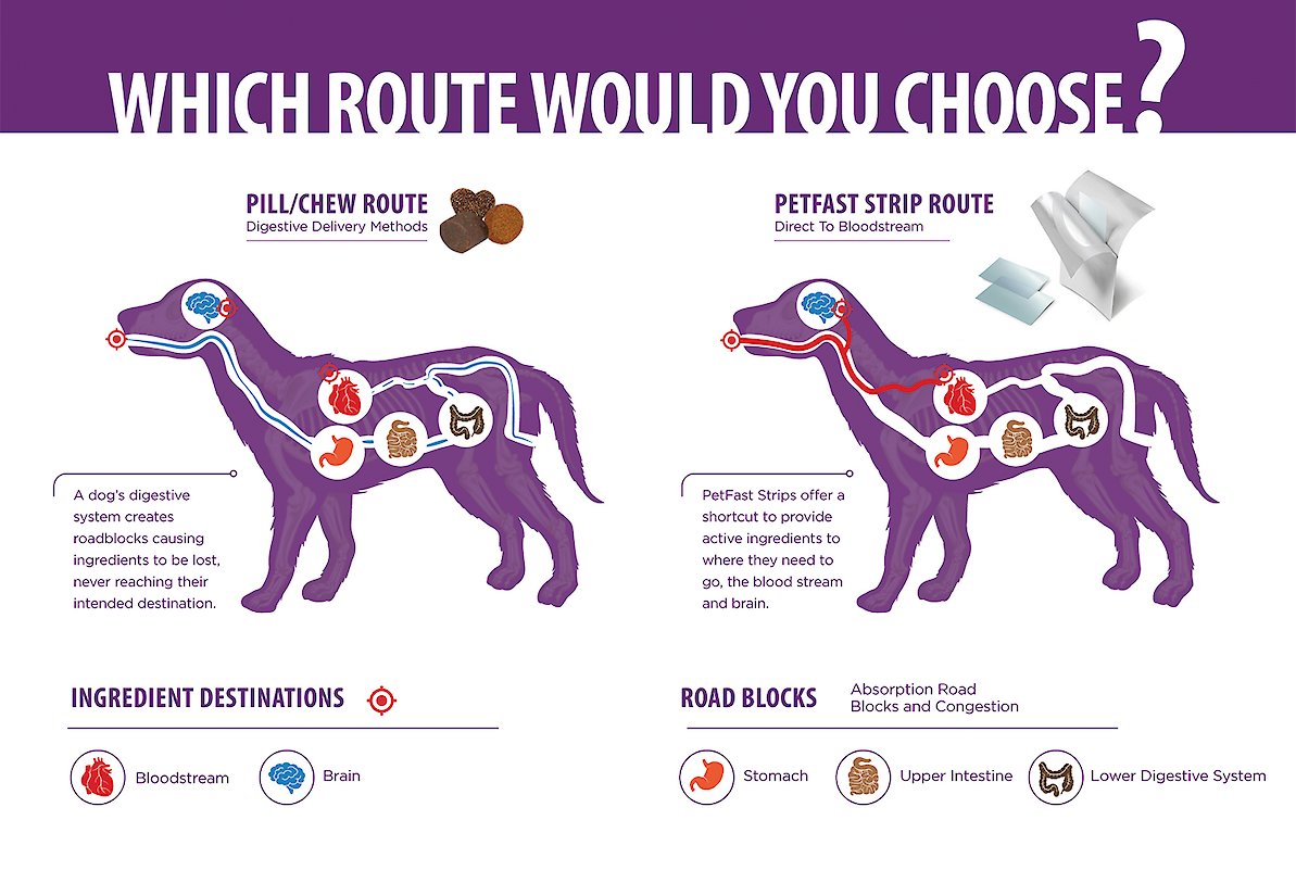 PetFast Probiotic Strips Gut Health